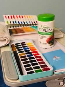 Pretty excellent brand paints and a juice plus container next to it on a lap desk