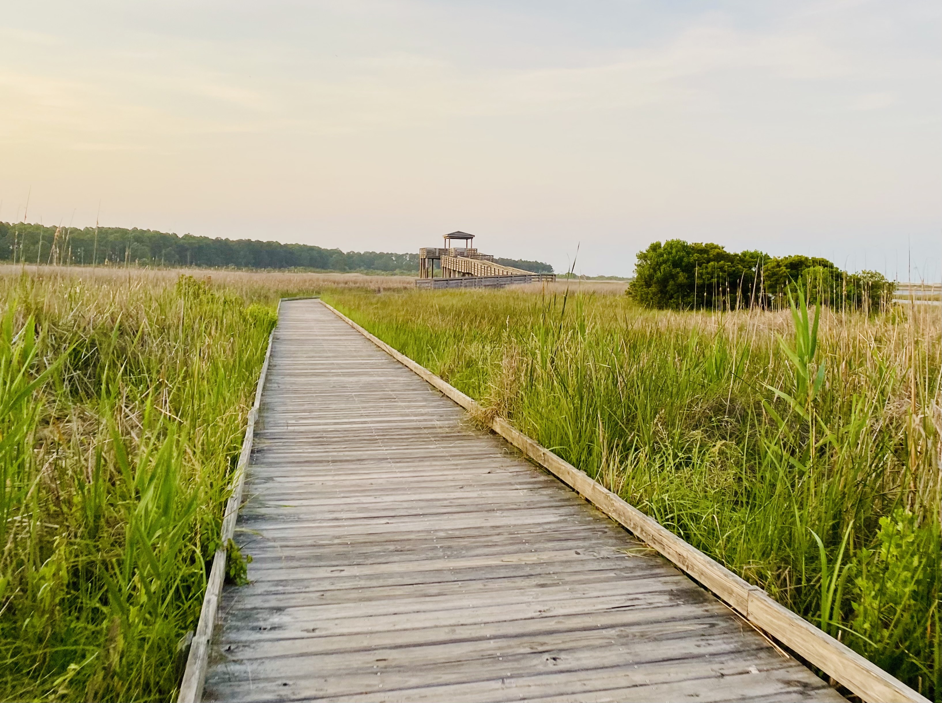 the wide bumpy path to the overlook at Bodie Island Lighthouse