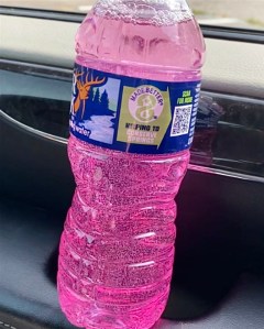 This is what ORS looks like in a regular water bottle; it’s pink and the background is the inside of a car door cause we were going somewhere 